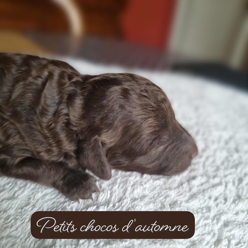 la cigogne est passé !